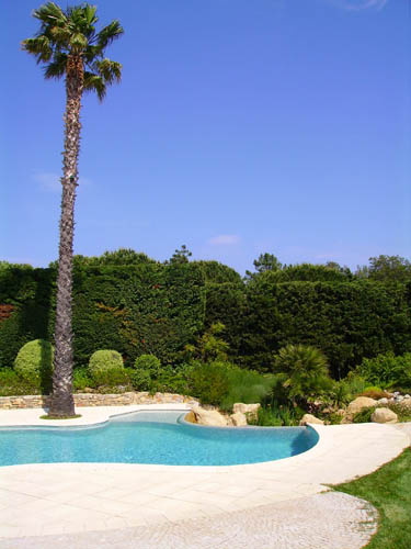 Création paysagiste et entretien de jardin à Saint Tropez