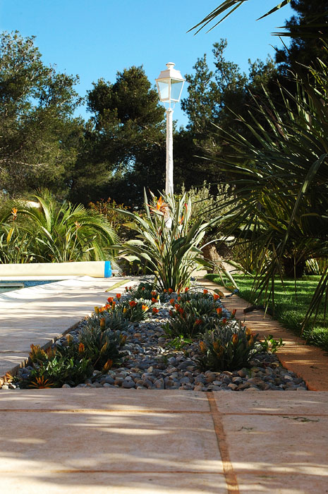 Création paysagiste à Bandol